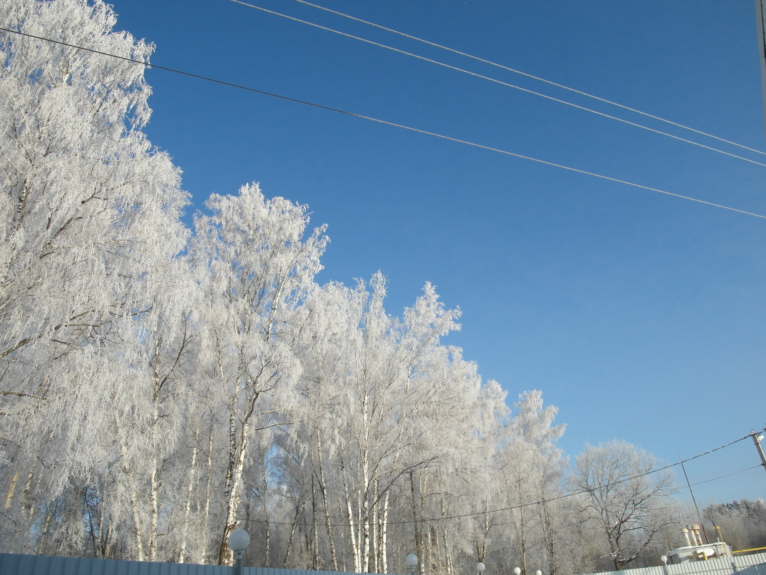 2014년 1월 오브닌스크 도시에서 찍은 눈꽃