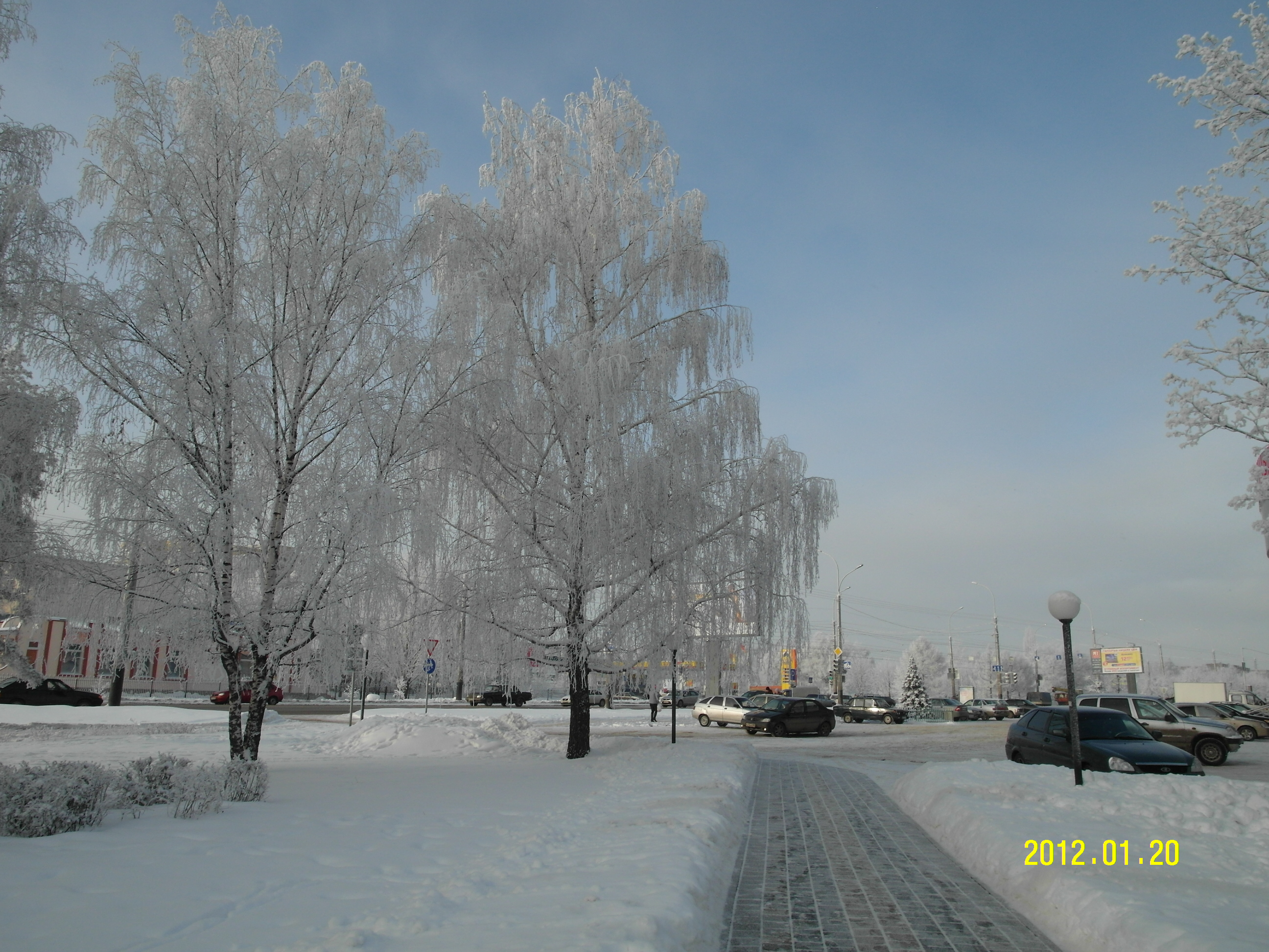2012년 1월 러시아 땀보프 도시에서 살면서 찍은 눈꽃