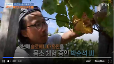 15년 차 소믈리에에서 초보 와인 생산자로 변신…와인 농부 윤석현
