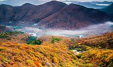Five great spots nationwide to see colorful fall foliage