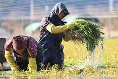 2025 quota for non-professional foreign workers set at 207K