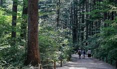 В Корее представили бренд лесного сотрудничества «K-FOREST FOR ALL»