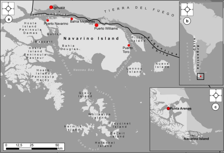 칠레 지도 중 푸에르토 윌리엄스의 위치. 푼타 아레나스보다 남단이다 - 출처 : Maritime studies 저널