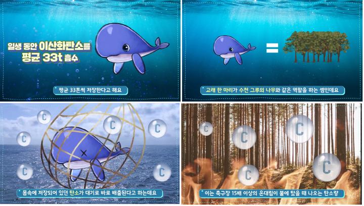 ▶ 고래는 지구를 살리는 존재, 고래를 포획하면 안 되는 이유!(사진 출처: https://www.youtube.com/watch?v=EyBIpwxMjcY&t=205s)
