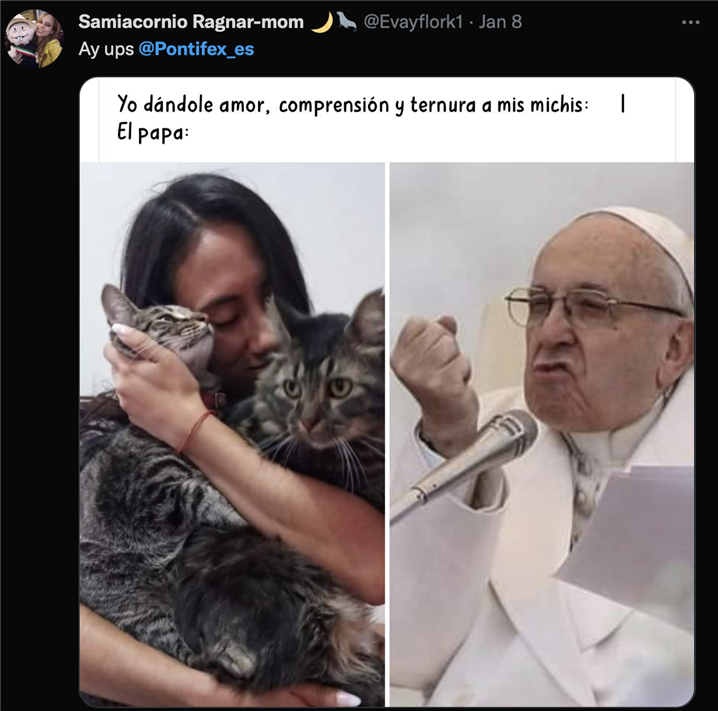 <교황의 발언에 반발하는 트위터리안 - 출처: 트위터 @Evayflork1>