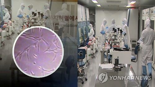 체세포복제줄기세포 연구 7년만에 재개
