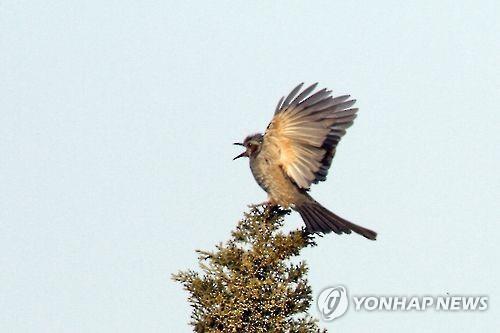 한국은행 