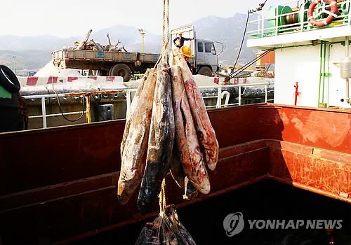 <중국원양자원 사태> 달라진 모습 보이는 中 기업들