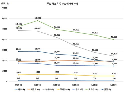 치솟던 상추값 안정세…일주일새 50% 내려