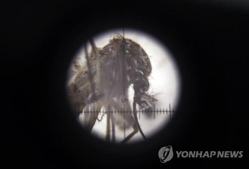 콜롬비아 '지카 대유행' 종식 선언…전문가들 