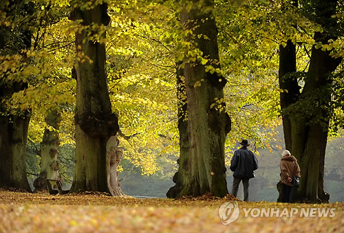 아내 먼저 보낸 남편, 사망률 4.2배 높아