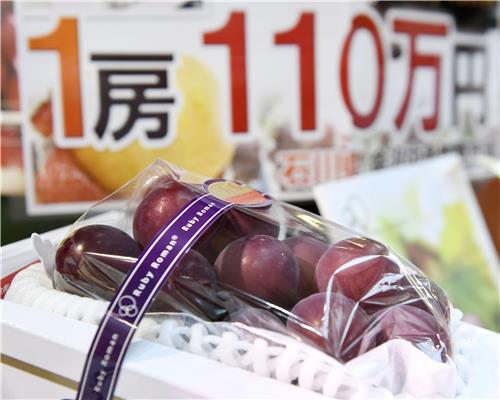日소비심리 꽁꽁 