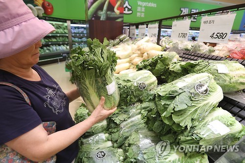 8월 소비자물가 0.4% 올라…배추 58.0%·시금치 30.7%↑(종합)