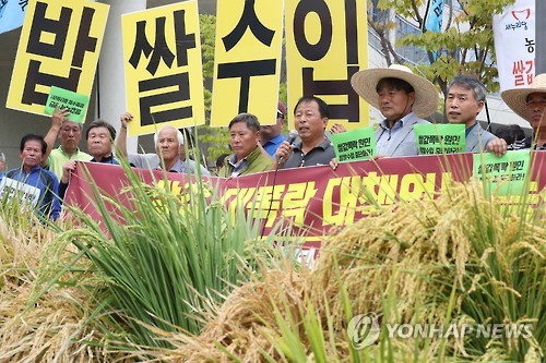 풍년의 역설…쌀값 20% 폭락, 시름 깊어가는 농촌