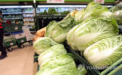 폭염에 배추·무 가격 크게 올라…돼지고기는 하락