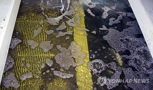넙치·참돔 값 올라…상반기 어류양식 역대 최대