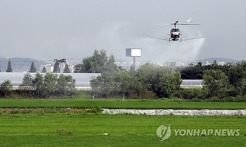 서울에서도 쌀이 난다…'경복궁 쌀' 특허출원