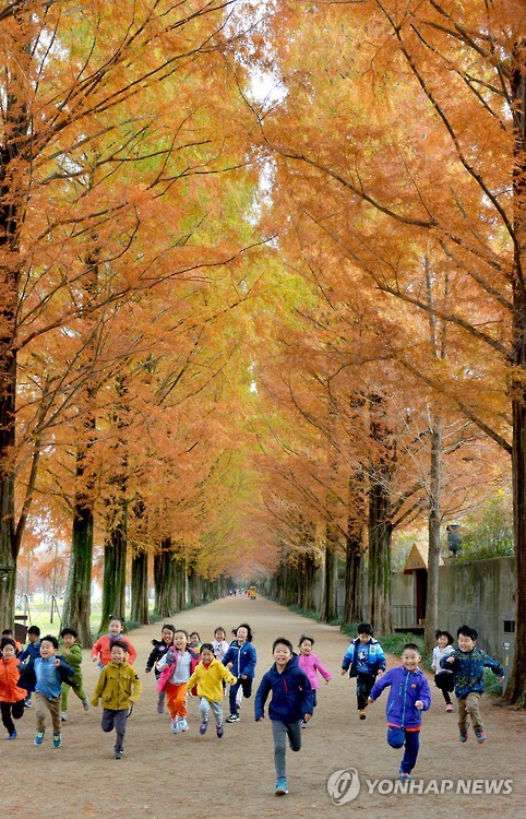 마을에 카페 33곳·돼지고깃집 매출 100억…담양군 관광파워