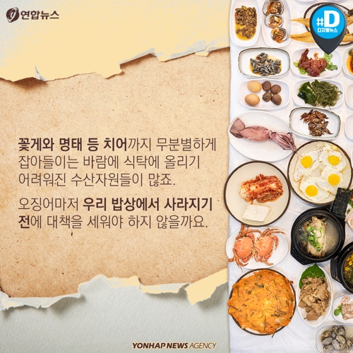 [카드뉴스] 