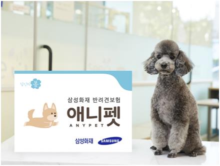 삼성화재·DB손보, 반려견보험 '비문인식' 도입 추진