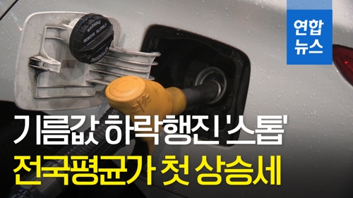 [영상] 휘발유값 하락세 '스톱'…전국평균가 석달만에 첫 상승세