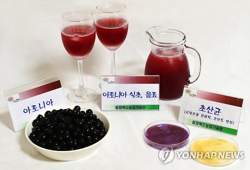 아로니아 가격 폭락에…농민들 함평서 대책 요구·항의 집회