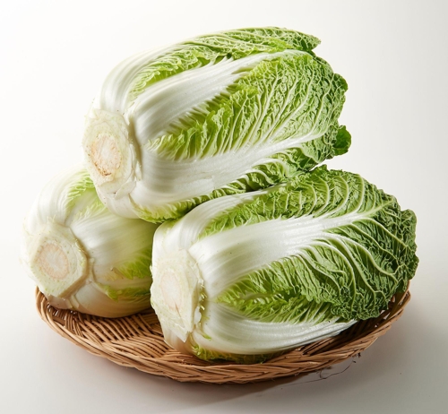 롯데마트 